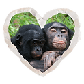 Two bonobo apes hug at Lola ya Bonobo Sanctuary