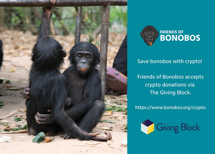 donate crypto to support bonobos
