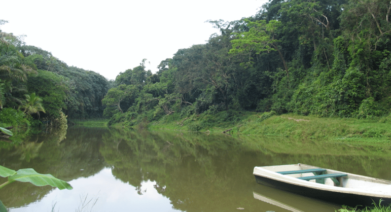 A small boat floats on a calm river surrounded by dense green forest. Lush trees reflect on the water, creating a serene, peaceful scene.