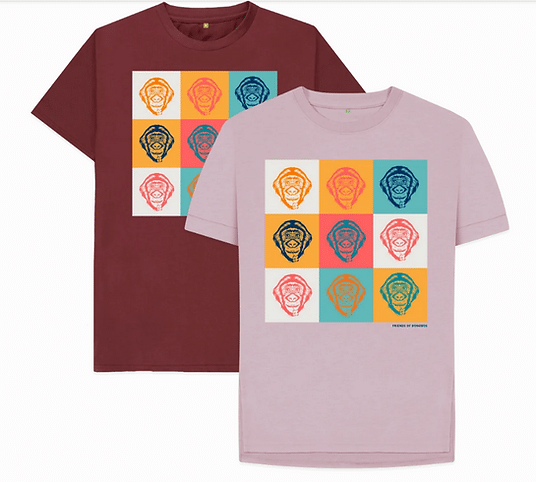 2 t shirts