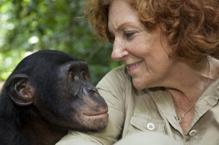 Claudine Andre and a bonobo gazing at each other