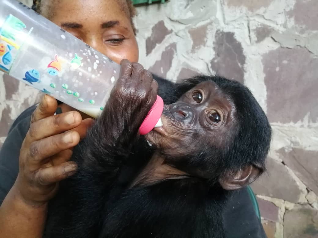 C'arrive giving Tshimbulu a bottle. 