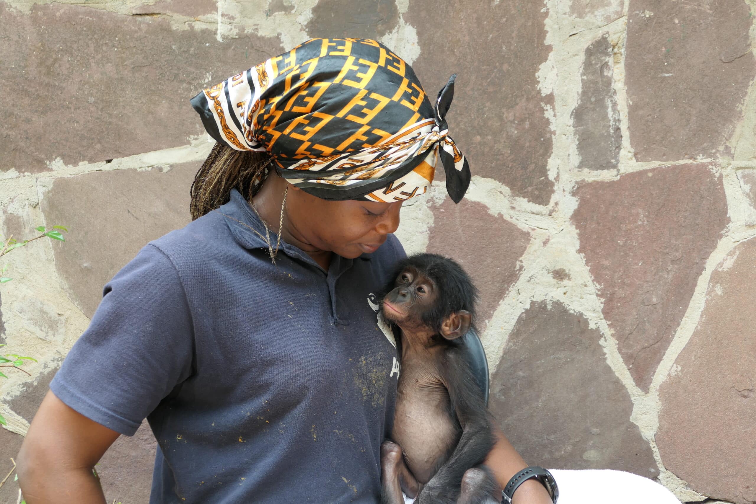 Two bonobo orphans hugging each other for comfort