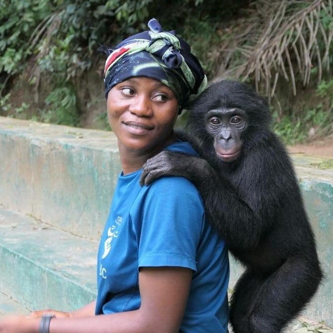 A woman sitting with a bonobo standing behind her looking at viewer.