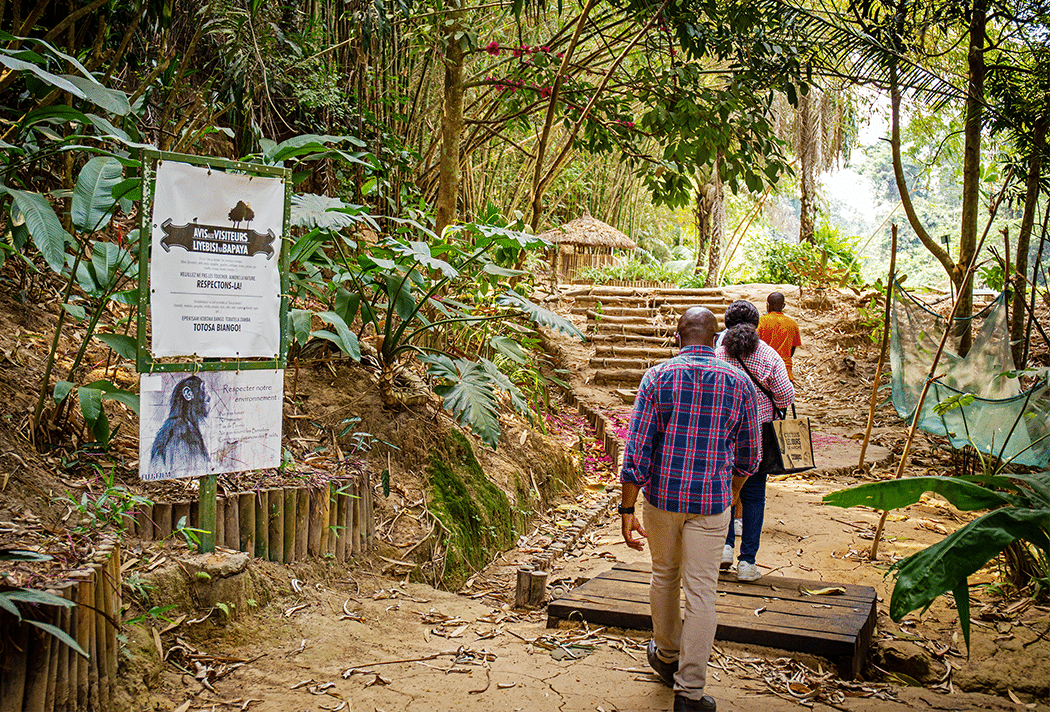 Three people climb steps in a wooded area at Lola ya Bonobo sanctuary