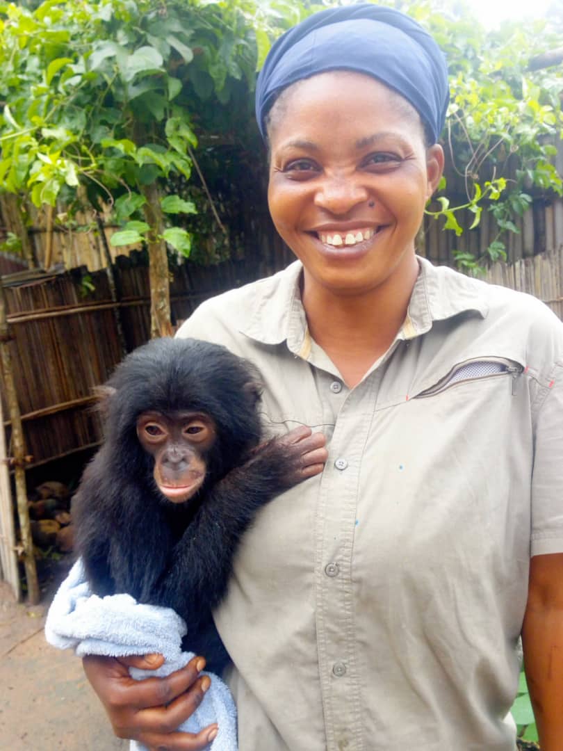 A young bonobo sitting alone with a sad expression
