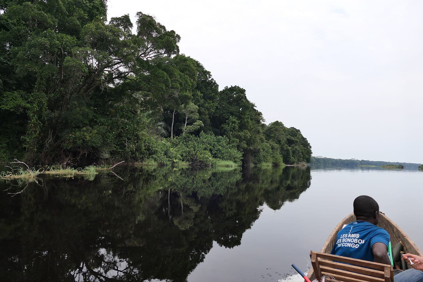 view from a boat on a dark river looking toward treelined shore. Man in boat wears t shirt saying Les Amis des Bonobos du Congo