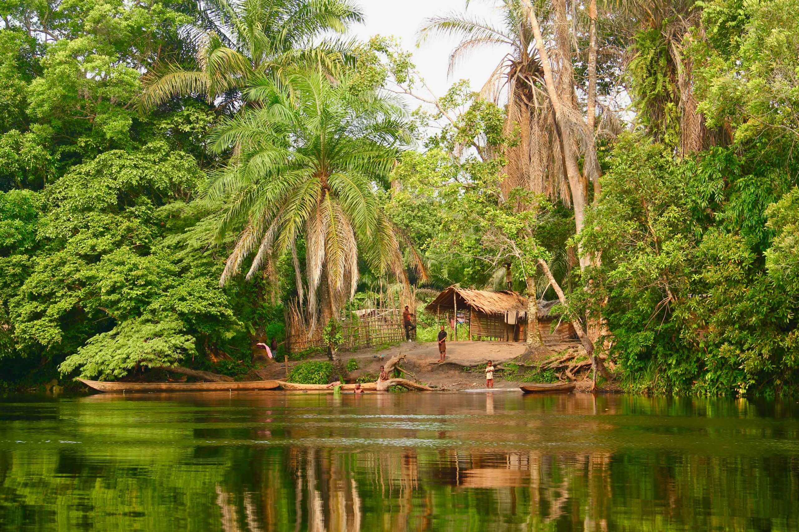 A lush, green view from a boat of a fishing village near Ekola ya Bonobo Community Reserve in DR Congo.