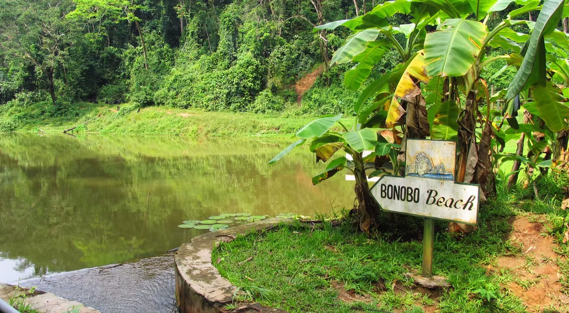 View of Bonobo Beach at Lola ya Bonobo sanctuary