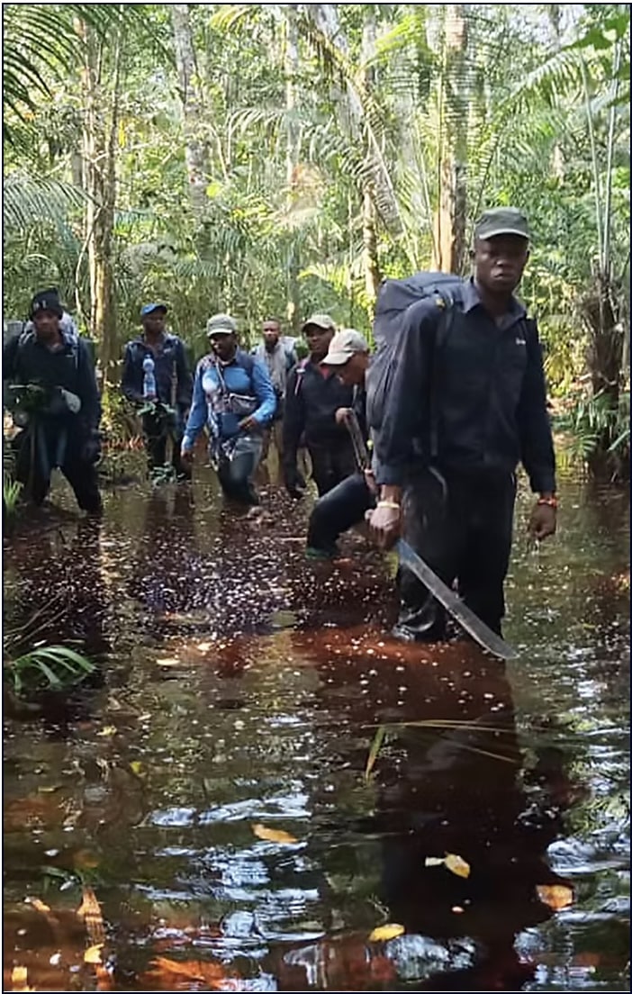 Ekolo ya Bonobo Forest guards wade through high water. The swamp forest floods seasonally.