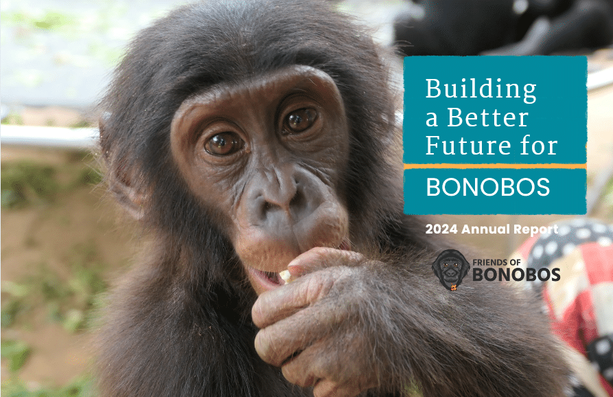 Friends of Bonobos 2024 Annual Report cover photo