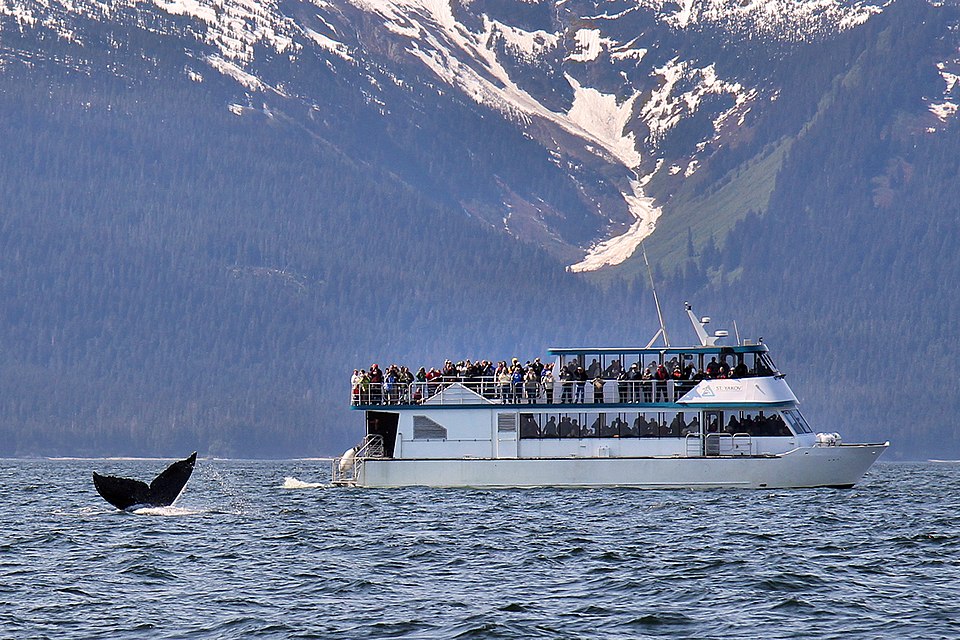 A whale fin above water line with boat full of tourists observing snowy mountain in background