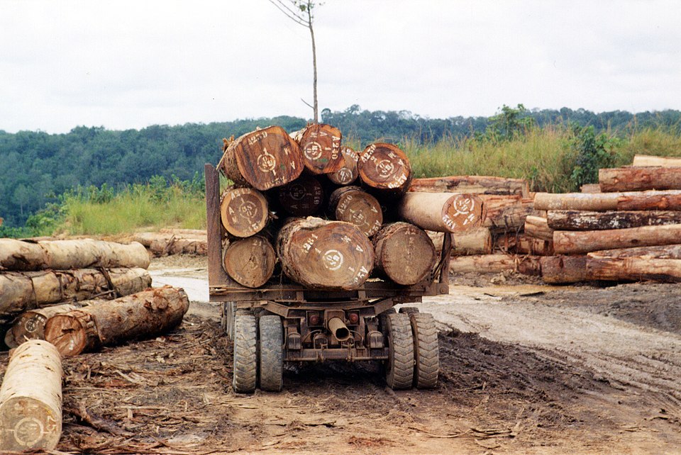 Logs on a truck in Central African Republic