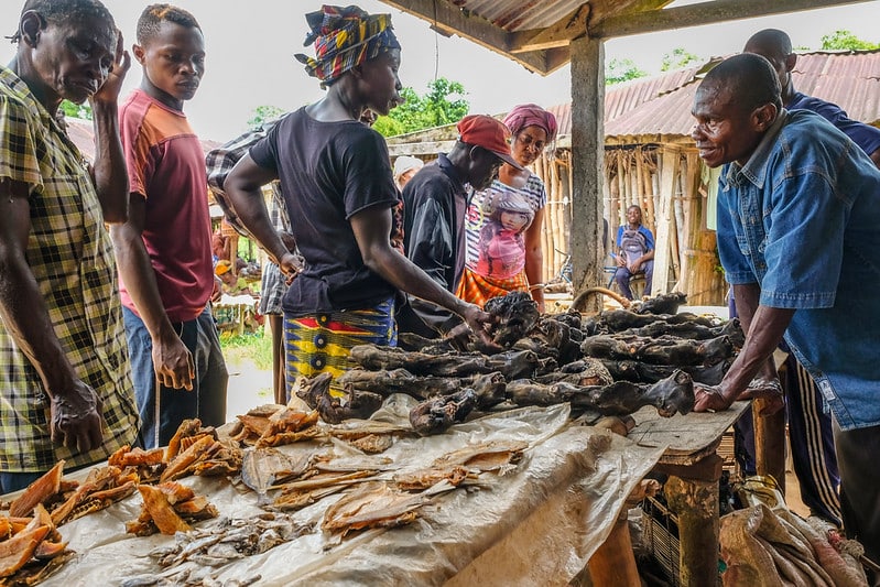A bushmeat market in DR Congo