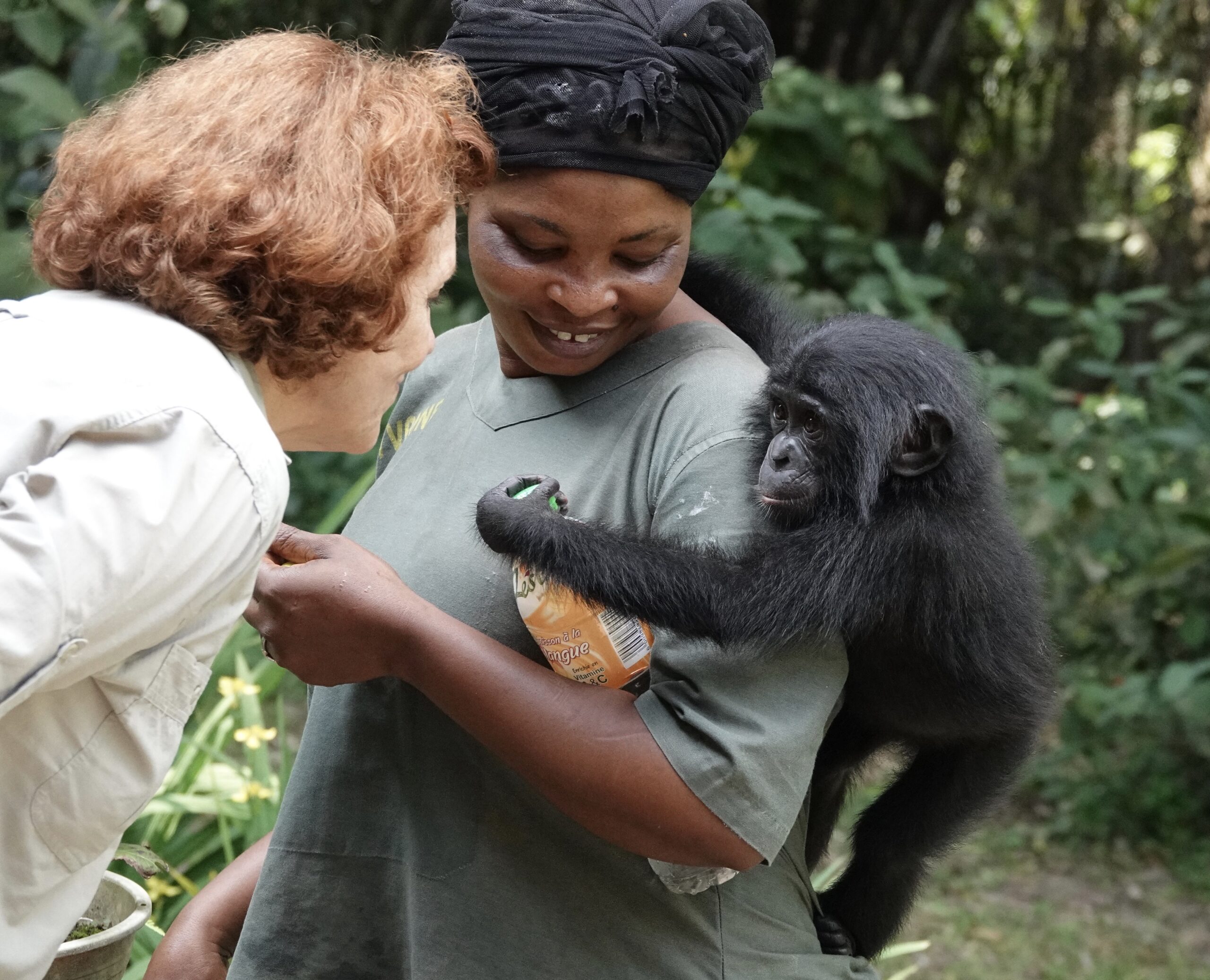 woman looking into the eyes of a bonobo being held by another woman
