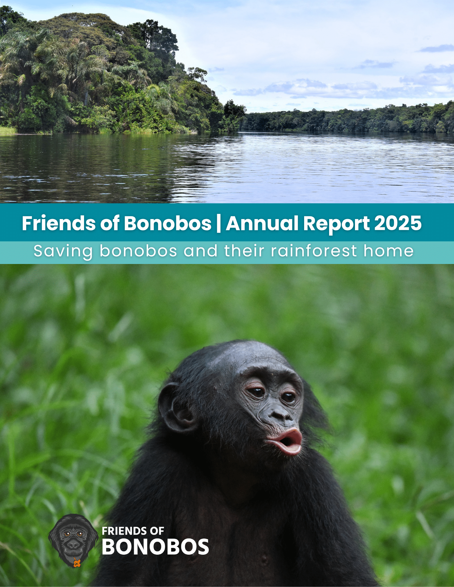 Friends of Bonobos 2025 Annual Report cover photo